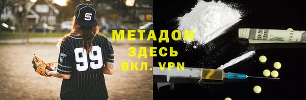 прущие грибы Абаза