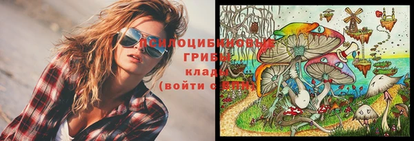 таблы Алзамай