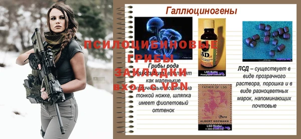 таблы Алзамай