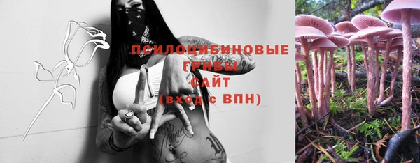 стафф Абдулино