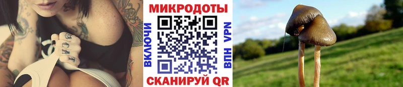 Галлюциногенные грибы MAGIC MUSHROOMS  цена наркотик  Десногорск 